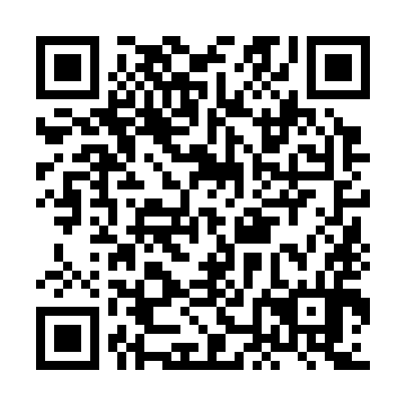 QR code for HNN-394