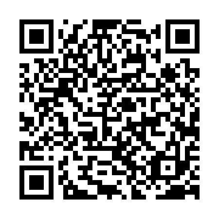 QR code for HNT-313
