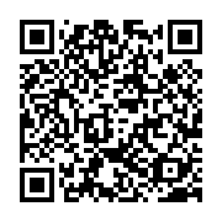 QR code for plate HPL-029