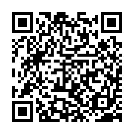 QR code for HSR-313