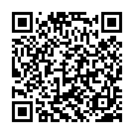 QR code for HUO493
