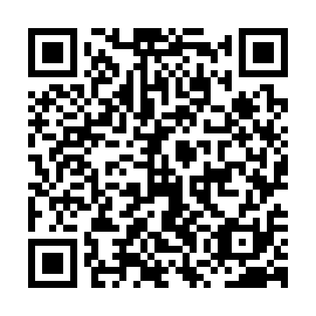 QR code for HWO-311