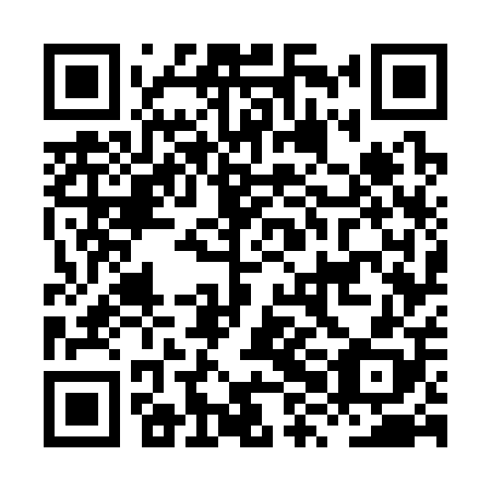 QR code for plate HXG-308
