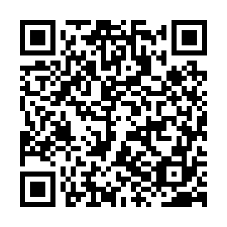 QR code for plate HXM-272