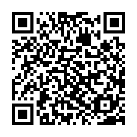 QR code for plate HXP-335