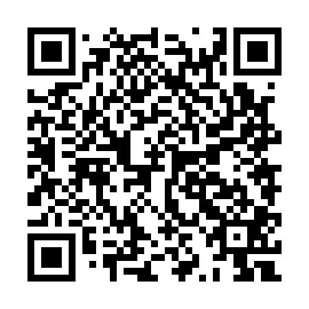 QR code for plate HZN-101