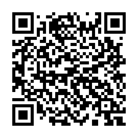 QR code for I13-11C