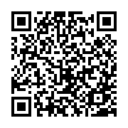 QR code for plate I17-04W