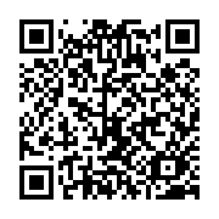 QR code for plate I17-51O