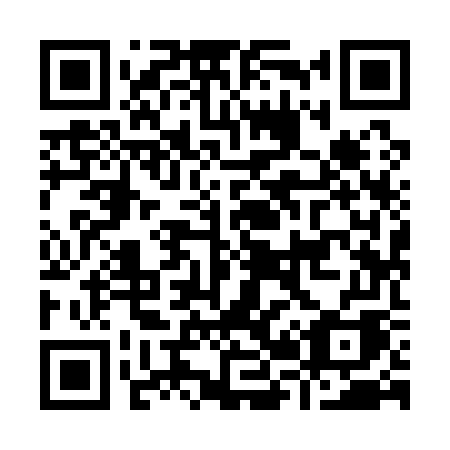 QR code for plate I29-17A