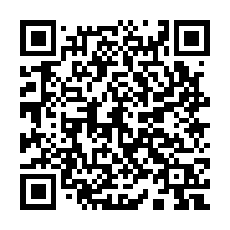 QR code for I31-17P