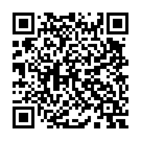 QR code for plate I33-49V