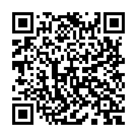 QR code for plate I33-96F