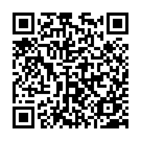 QR code for plate I53-81W