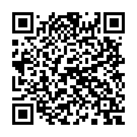 QR code for plate I63-51S