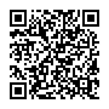 QR code for I8599H
