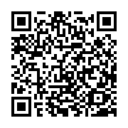 QR code for I9017Z
