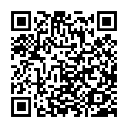 QR code for I9045X