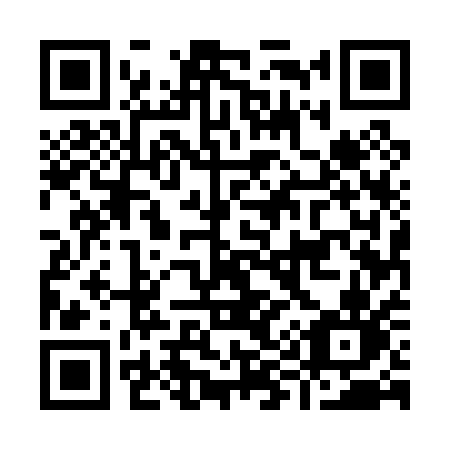QR code for plate I95-01N