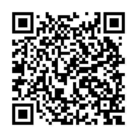 QR code for plate IAP-293