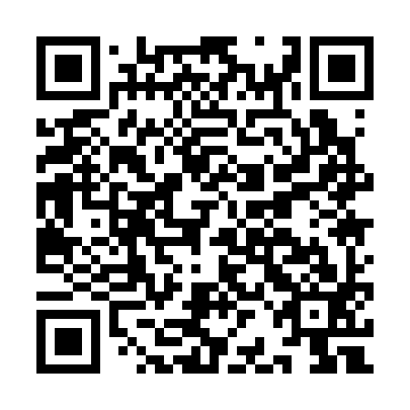 QR code for IBA393