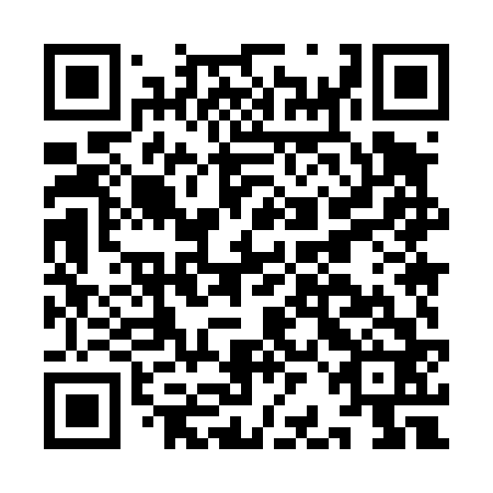 QR code for plate IBM-462