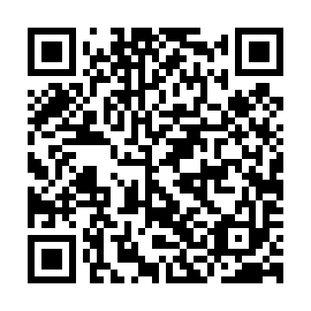 QR code for ICD-493