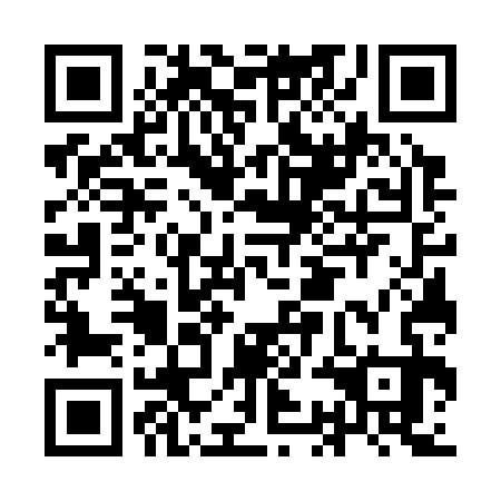 QR code for ICG333
