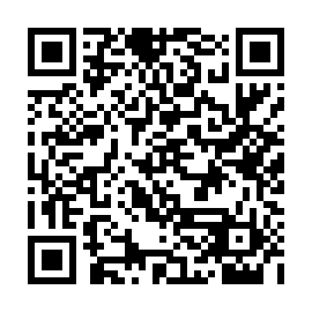 QR code for plate ICM-492