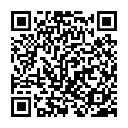 QR code for IDE-221