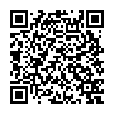 QR code for plate IFW-335
