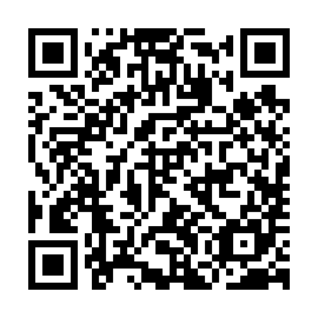 QR code for plate IGB-685