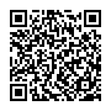 QR code for IIP337