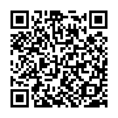 QR code for IIR559