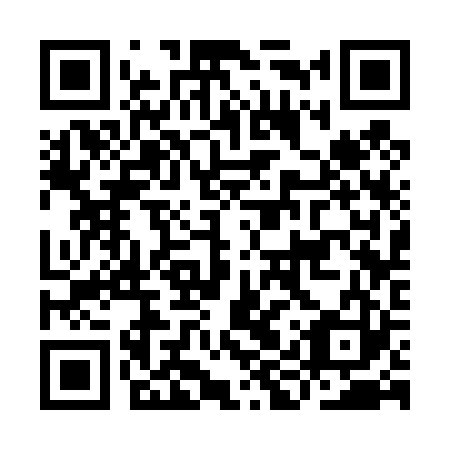 QR code for IIS423