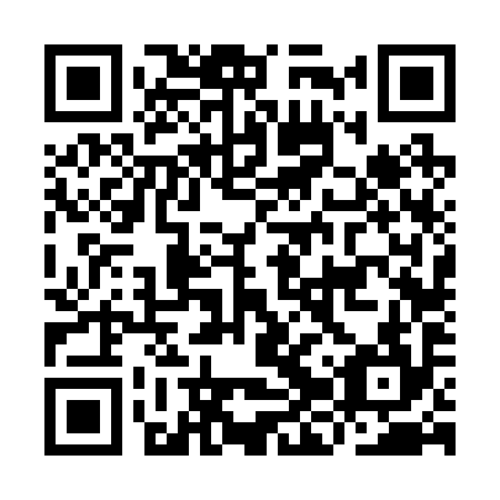 QR code for IJV-294