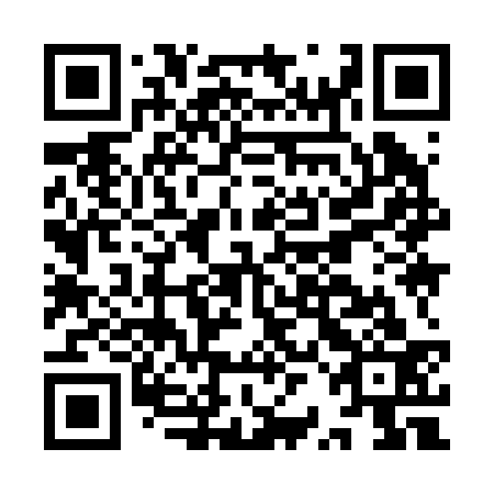 QR code for plate IRI-233