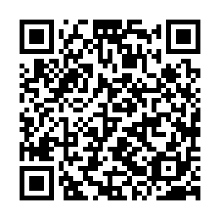 QR code for plate IRX-310