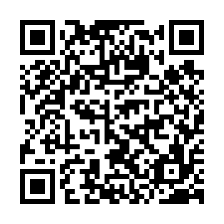 QR code for ISW616