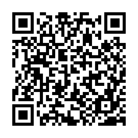 QR code for plate IYG-276