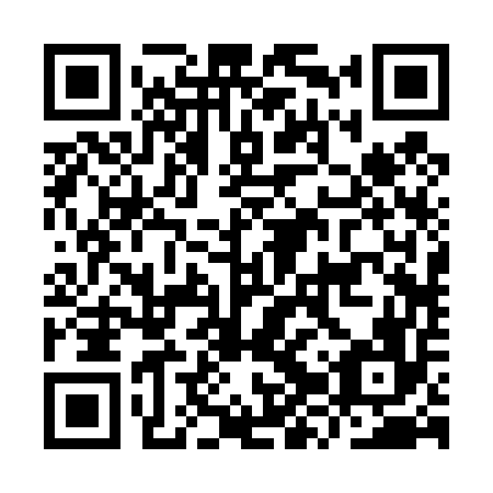 QR code for plate IZR-456