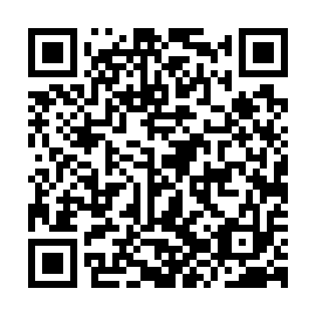 QR code for plate IZT-713