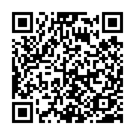 QR code for plate J11-65Q
