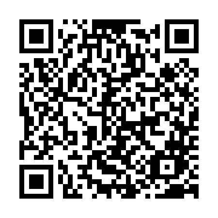 QR code for plate J13-04N