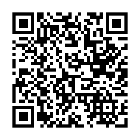 QR code for plate J29-56E