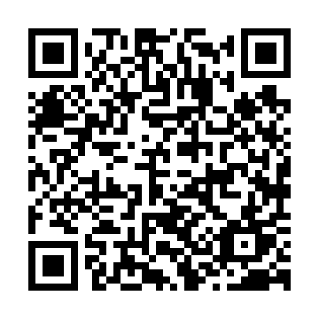 QR code for plate J38-61T