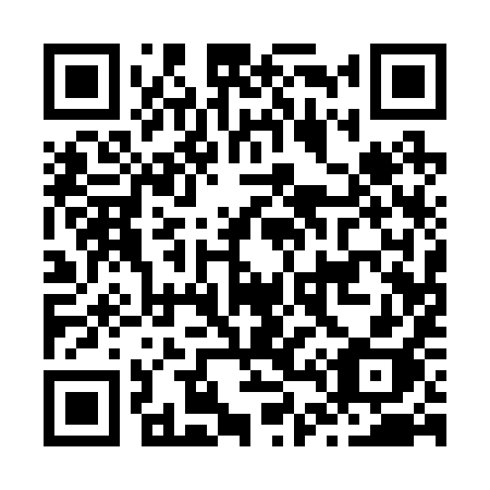 QR code for J41-29H
