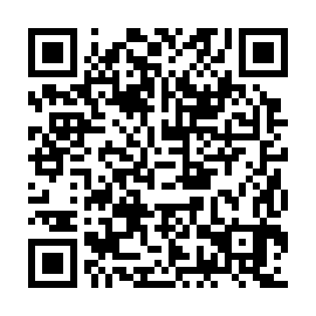 QR code for plate JGR-383