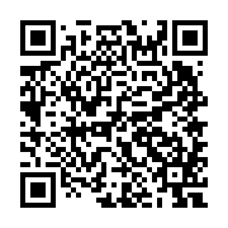 QR code for plate JNE-685