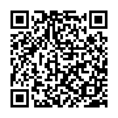 QR code for plate JPT-303